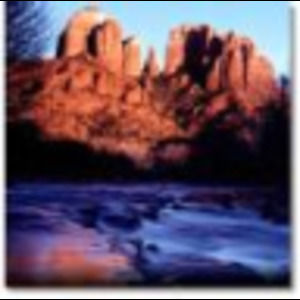 Meet your Posher, Donnah